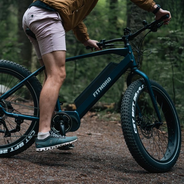 FitNord Rumble 500 Elfatbike 2024, blå (720 Wh batteri/80 Nm)