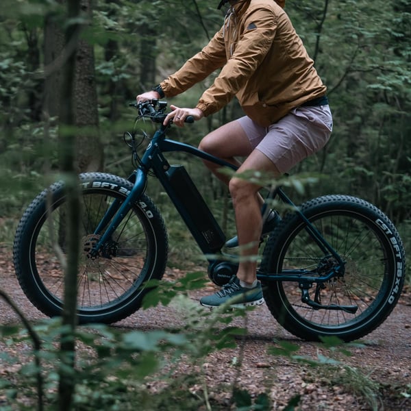 FitNord Rumble 500 Elfatbike 2024, blå (720 Wh batteri/80 Nm)