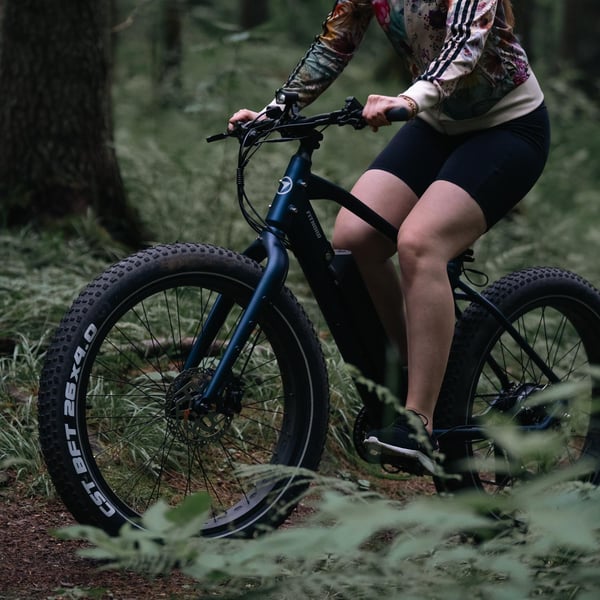 FitNord Rumble 300 Elfatbike, 2024, blå (720 Wh batteri/50 Nm)