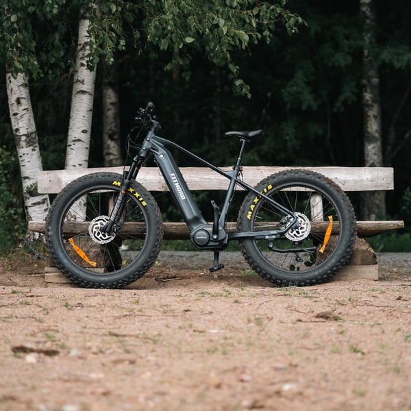 FitNord Rumble 1000 Elfatbike 2024, svart (856 Wh batteri/110 Nm)