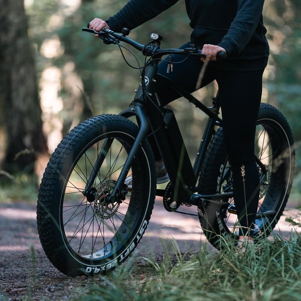 FitNord Rumble 300 Elfatbike, 2024, svart(720 Wh batteri/50 Nm)