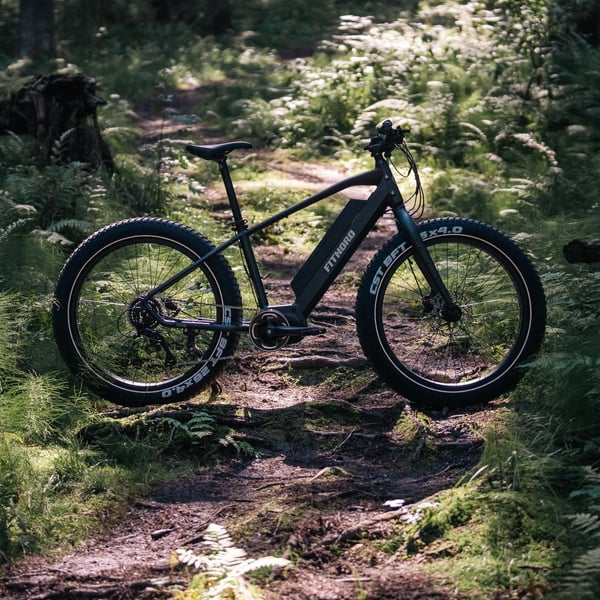 FitNord Rumble 500 Elfatbike 2024, svart (720 Wh batteri/80 Nm) 