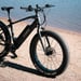 FitNord Rumble 300 Elfatbike, 2024, svart(720 Wh batteri/50 Nm)