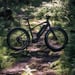 FitNord Rumble 500 Elfatbike 2024, svart (720 Wh batteri/80 Nm) 